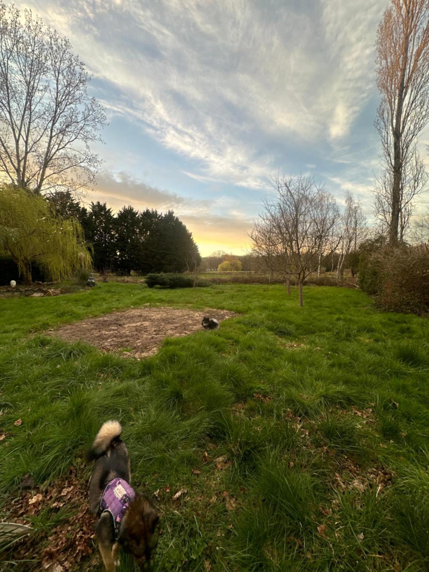 De Beon Campingplatz Bazoches-sur-le-Betz